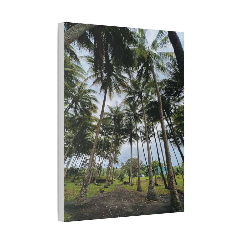 Coconut Palm Grove Nonga Rabaul Canvas Print — Scenic Beach Forest Wall Art