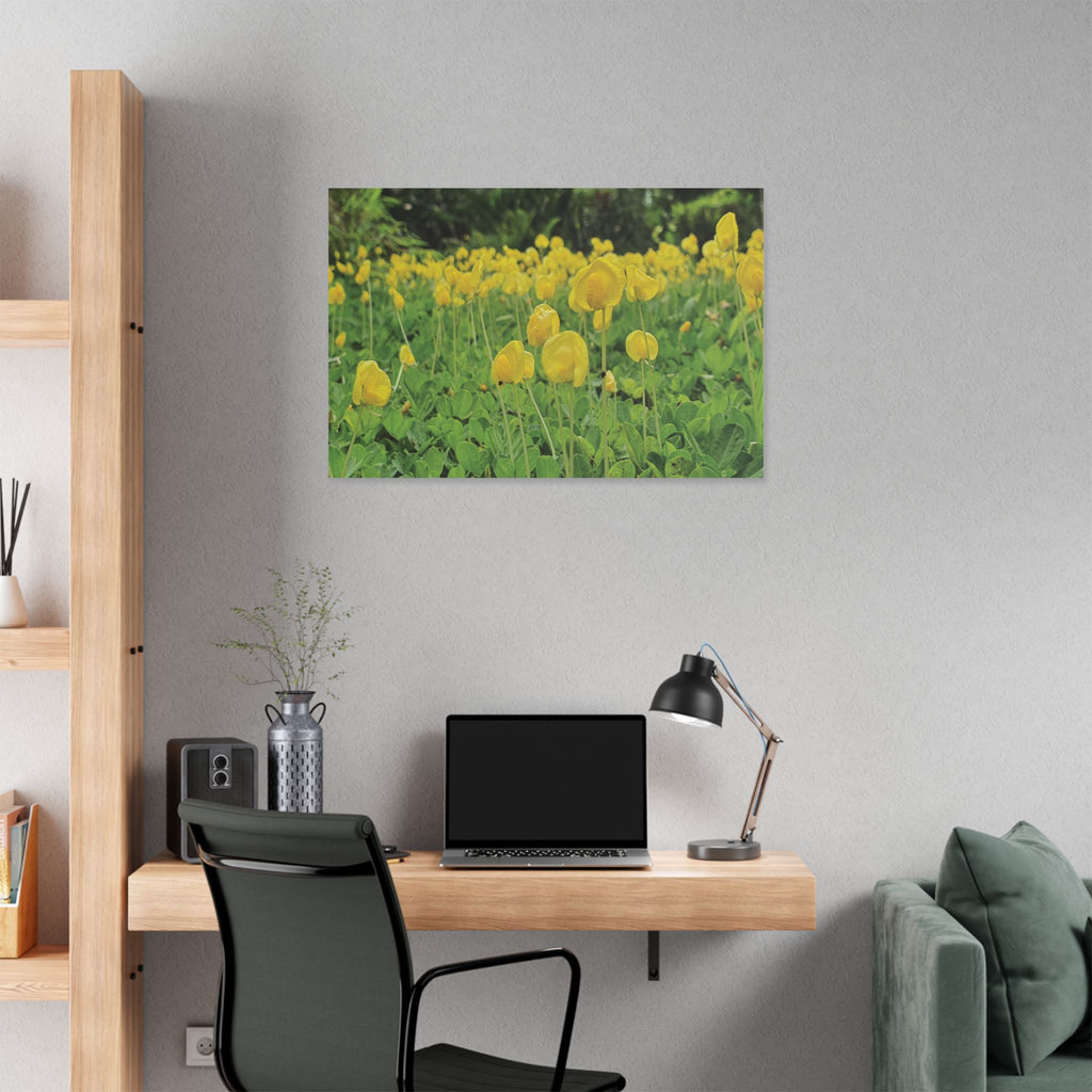 Yellow Flower Field Canvas Print