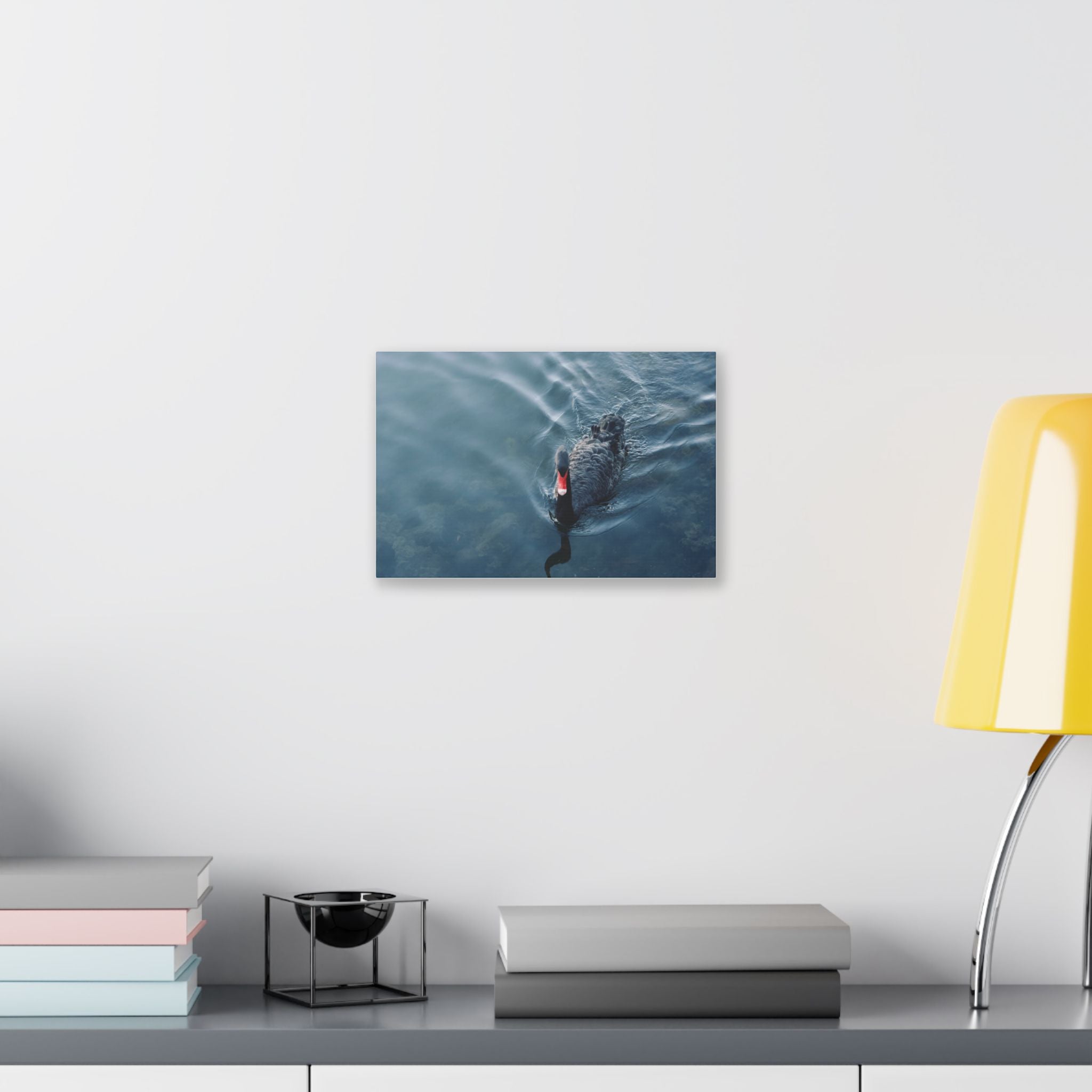 Black Swan Canvas Wall Art – Serene Lake Photography Print