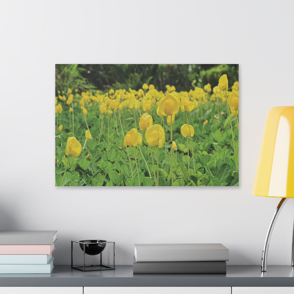 Yellow Flower Field Canvas Print