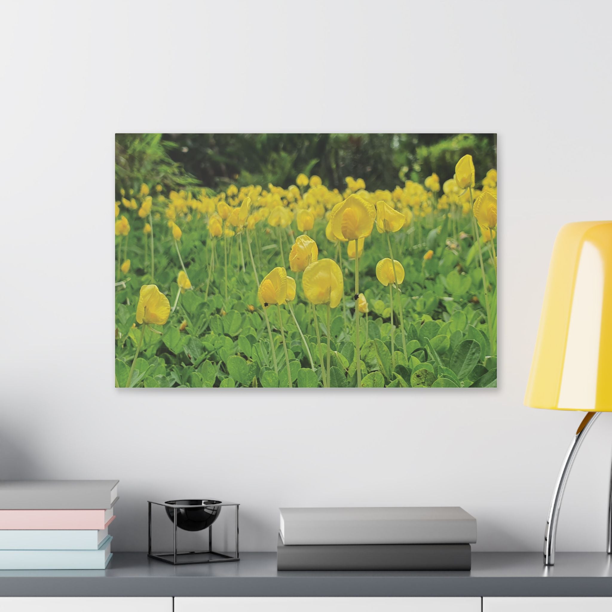 Yellow Flower Field Canvas Print