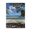 Tropical Beach Raivan Kokopo Canvas Print – Seaside Tree Framed Wall Art