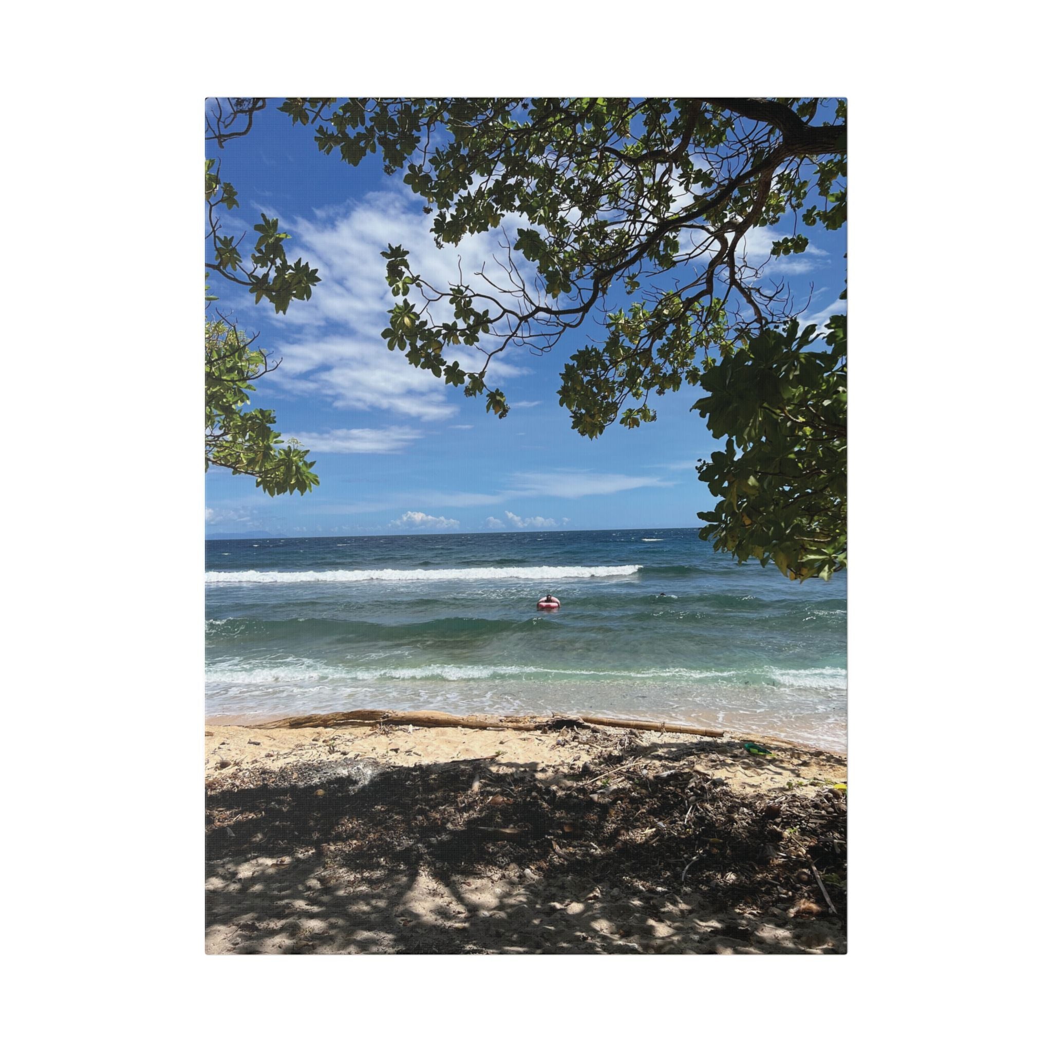 Tropical Beach Raivan Kokopo Canvas Print – Seaside Tree Framed Wall Art