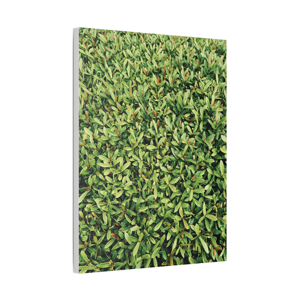 Green Hedge Canvas Wall Art — Botanical Stretched Canvas Print