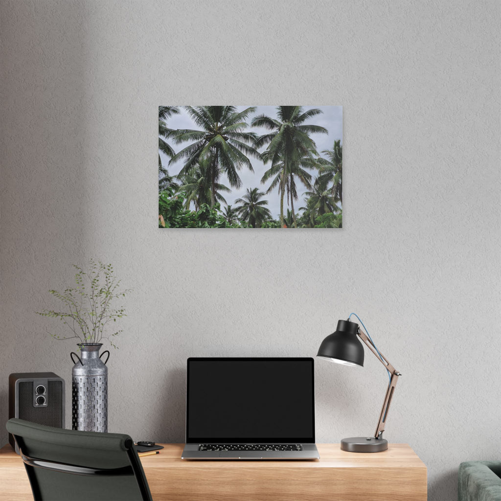 Coconut Palm Tree Rabaul Stretched Canvas – Coastal Wall Art for Home & Beach Decor