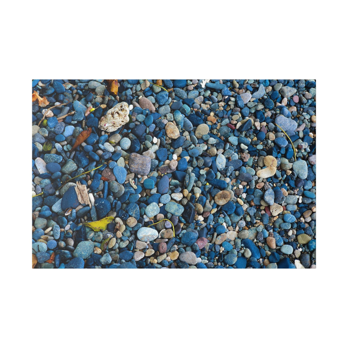 Blue Pebble Beach Rabaul Canvas Print — Coastal Wall Art