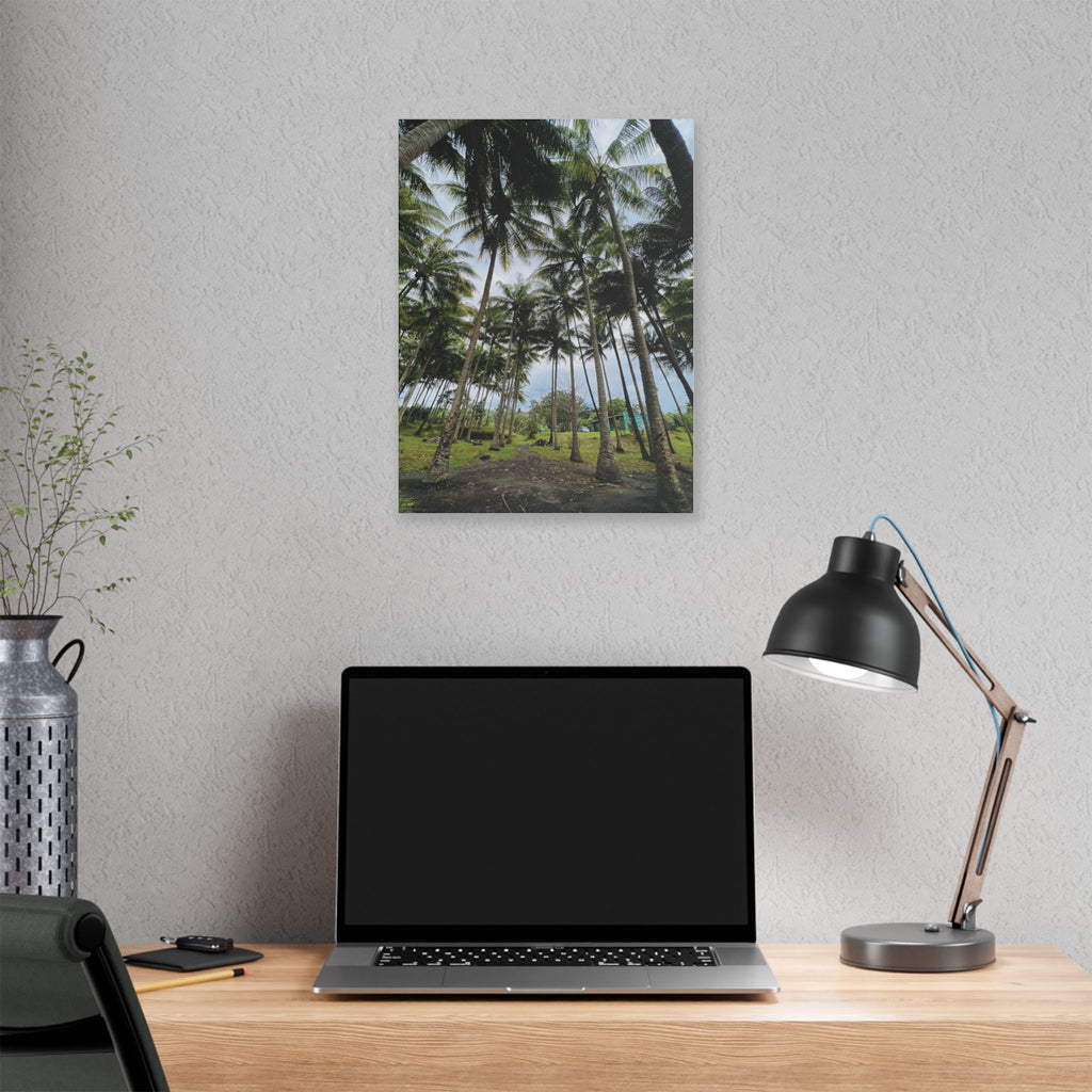 Coconut Palm Grove Nonga Rabaul Canvas Print — Scenic Beach Forest Wall Art