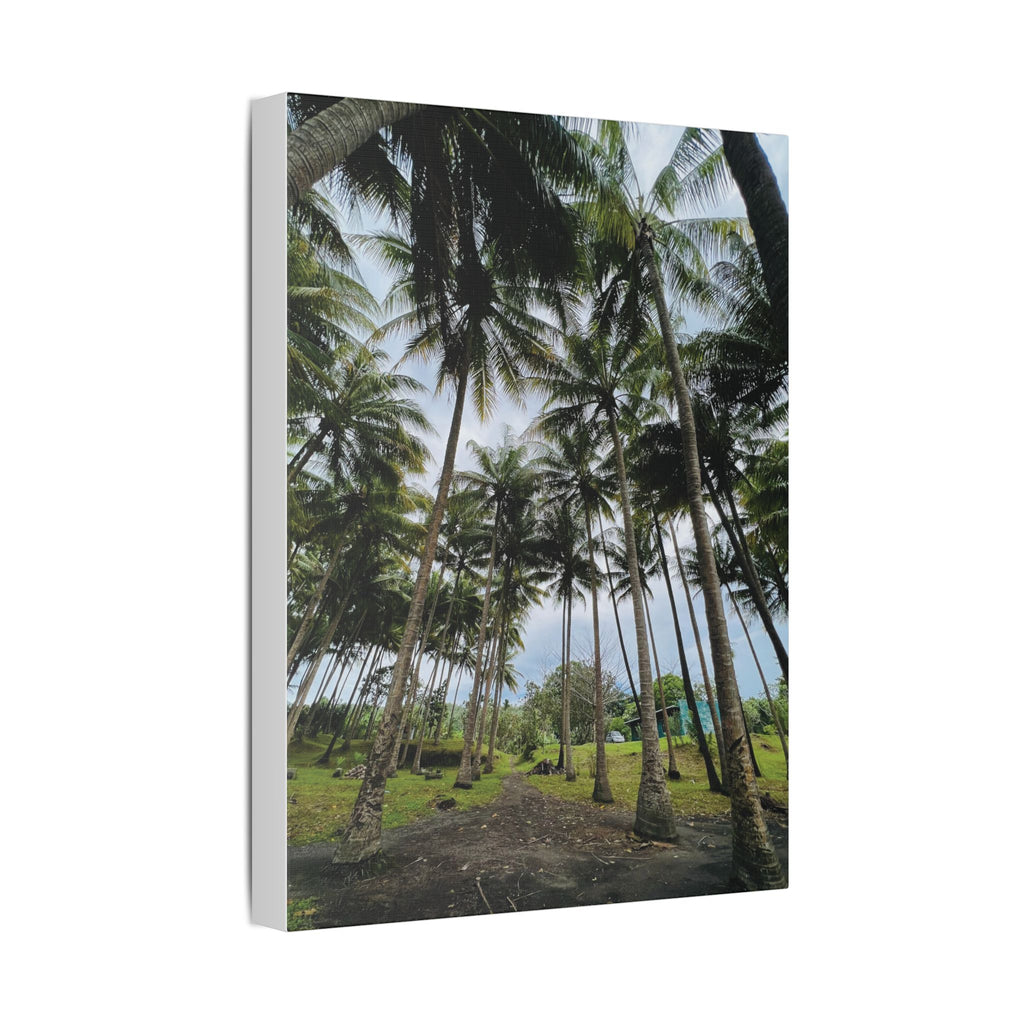Coconut Palm Grove Nonga Rabaul Canvas Print — Scenic Beach Forest Wall Art