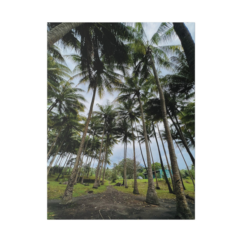 Coconut Palm Grove Nonga Rabaul Canvas Print — Scenic Beach Forest Wall Art