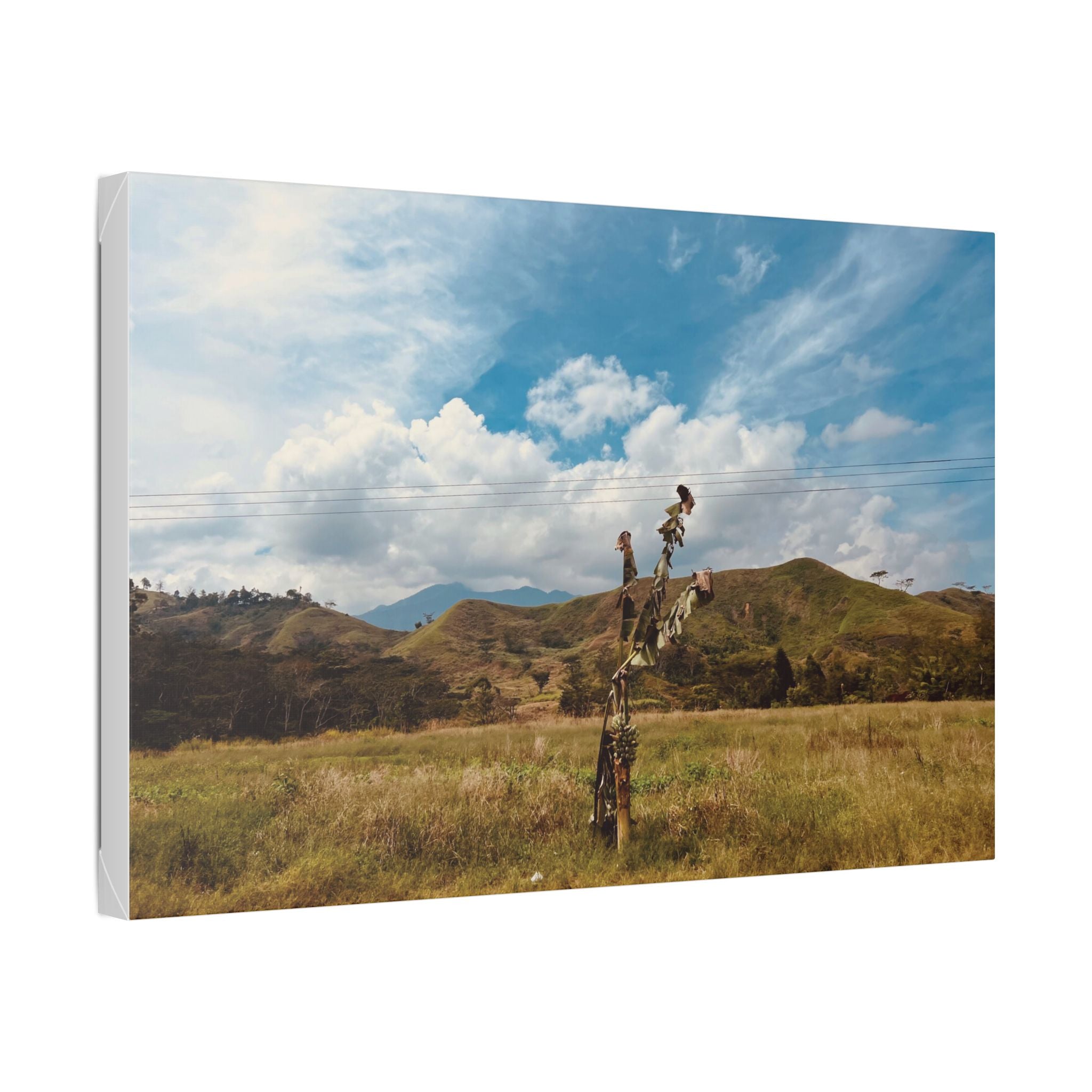 Sunlit Meadow Canvas Wall Art — Serene Mountain Landscape Print