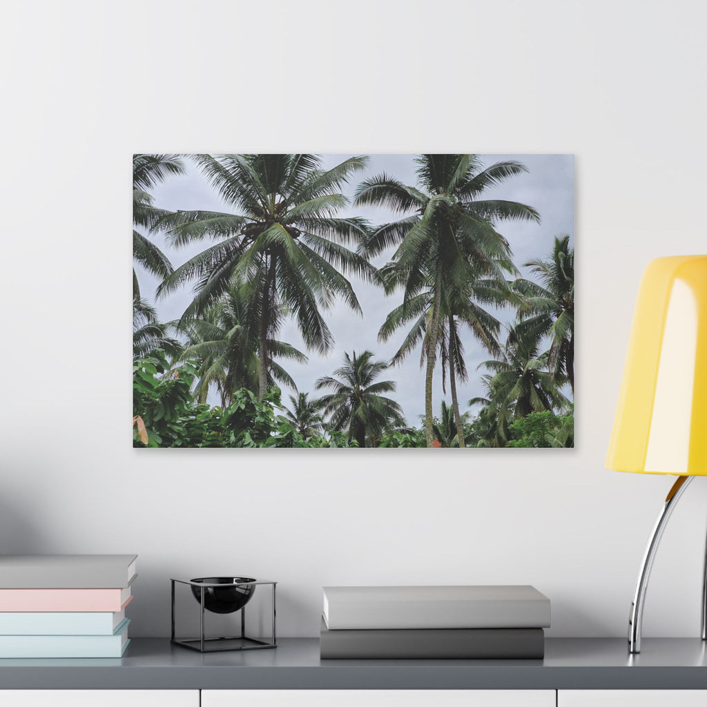 Coconut Palm Tree Rabaul Stretched Canvas – Coastal Wall Art for Home & Beach Decor