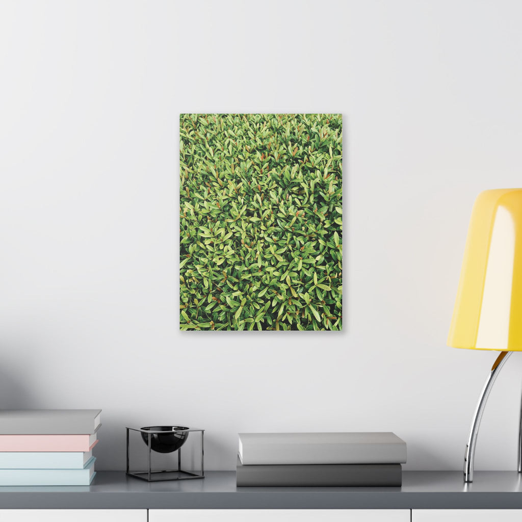 Green Hedge Canvas Wall Art — Botanical Stretched Canvas Print
