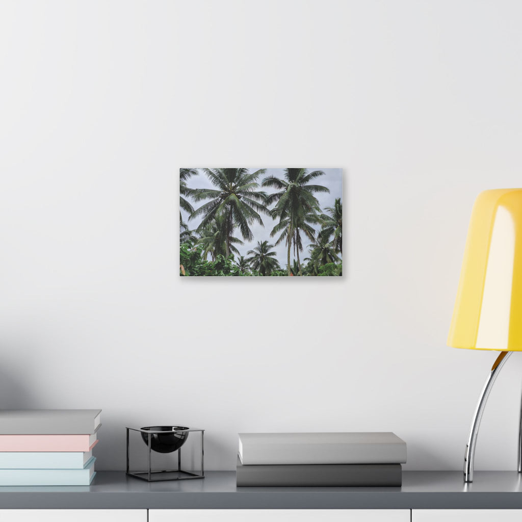 Coconut Palm Tree Rabaul Stretched Canvas – Coastal Wall Art for Home & Beach Decor