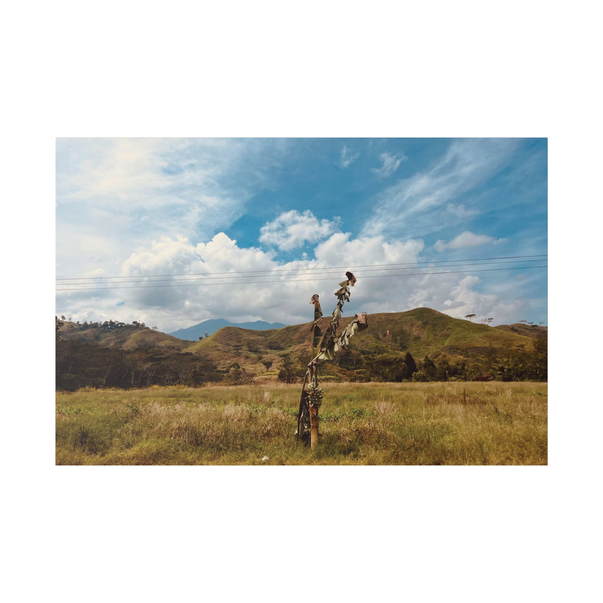 Sunlit Meadow Canvas Wall Art — Serene Mountain Landscape Print