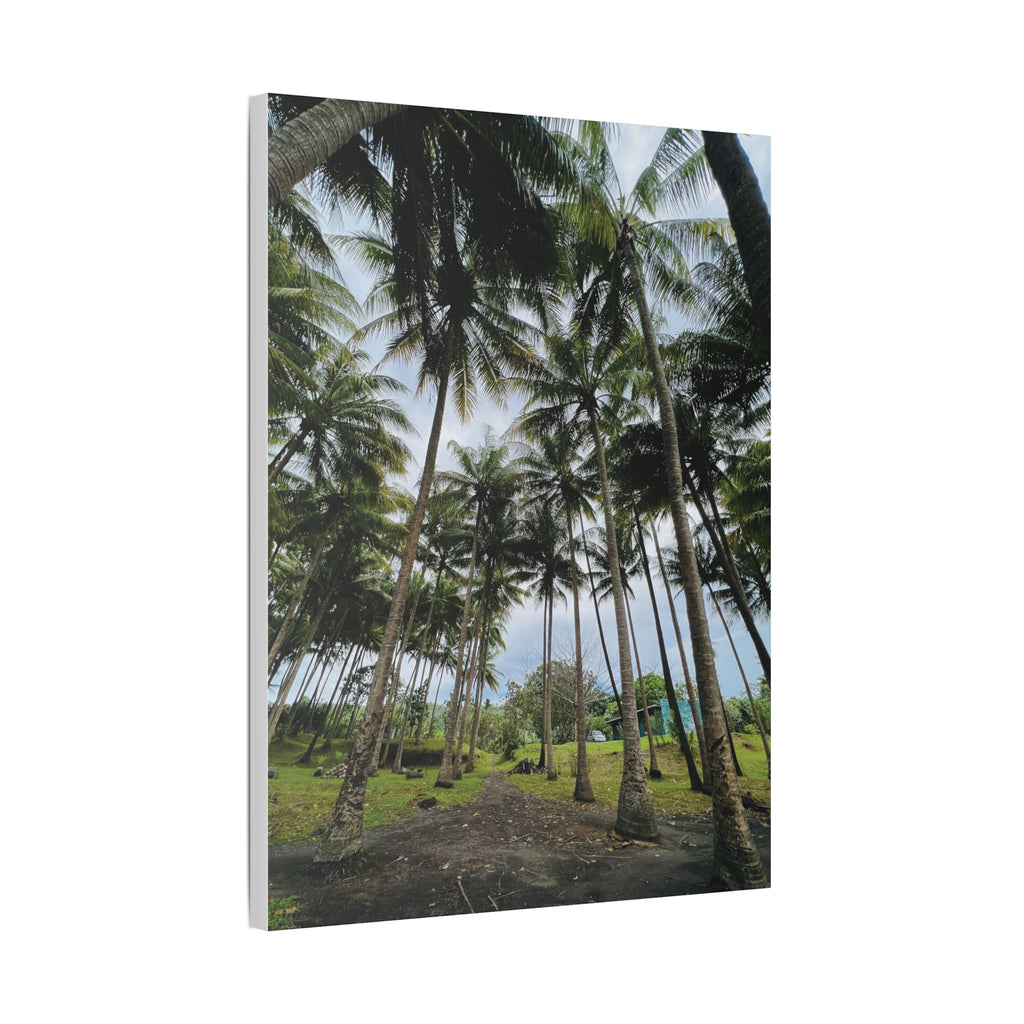 Coconut Palm Grove Nonga Rabaul Canvas Print — Scenic Beach Forest Wall Art