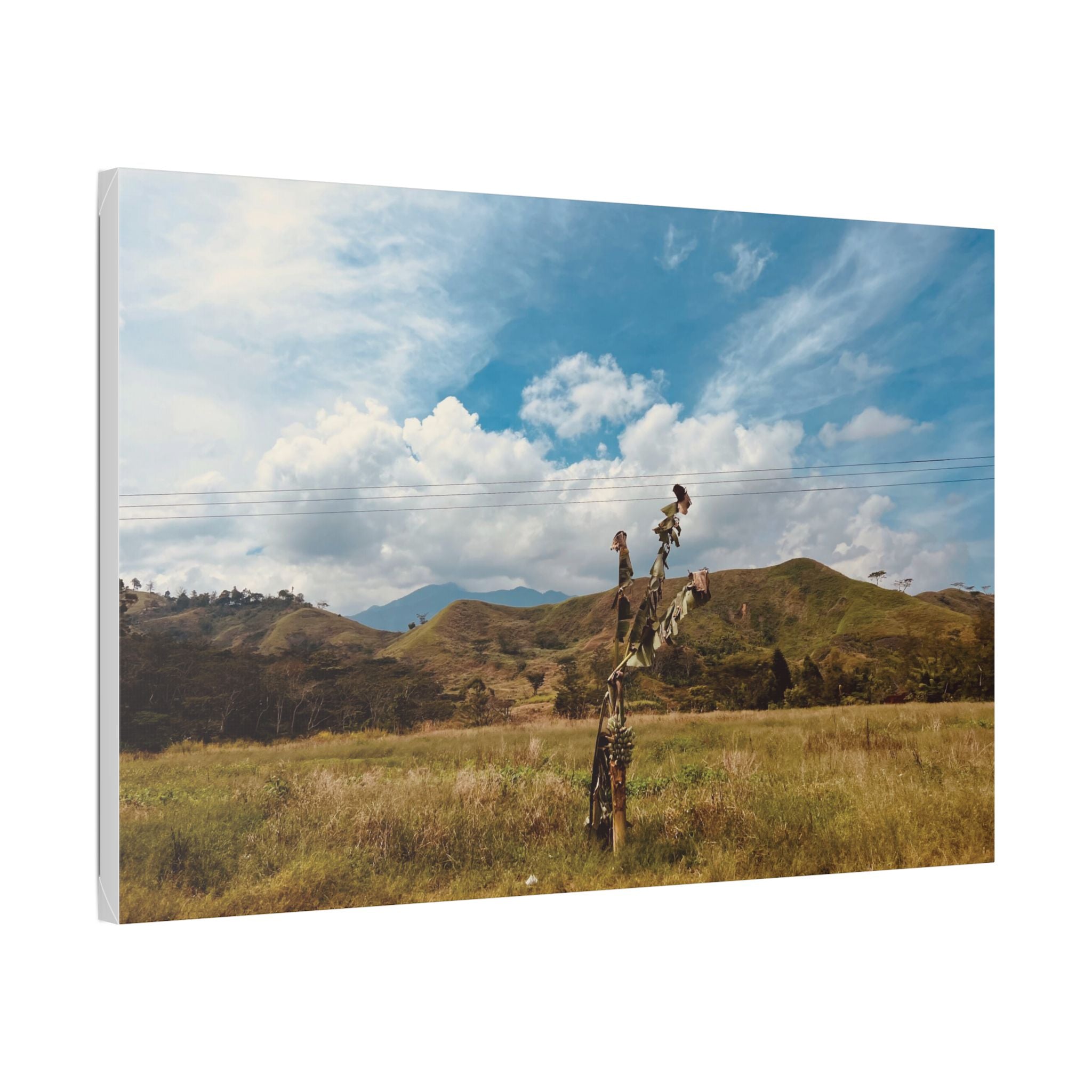 Sunlit Meadow Canvas Wall Art — Serene Mountain Landscape Print