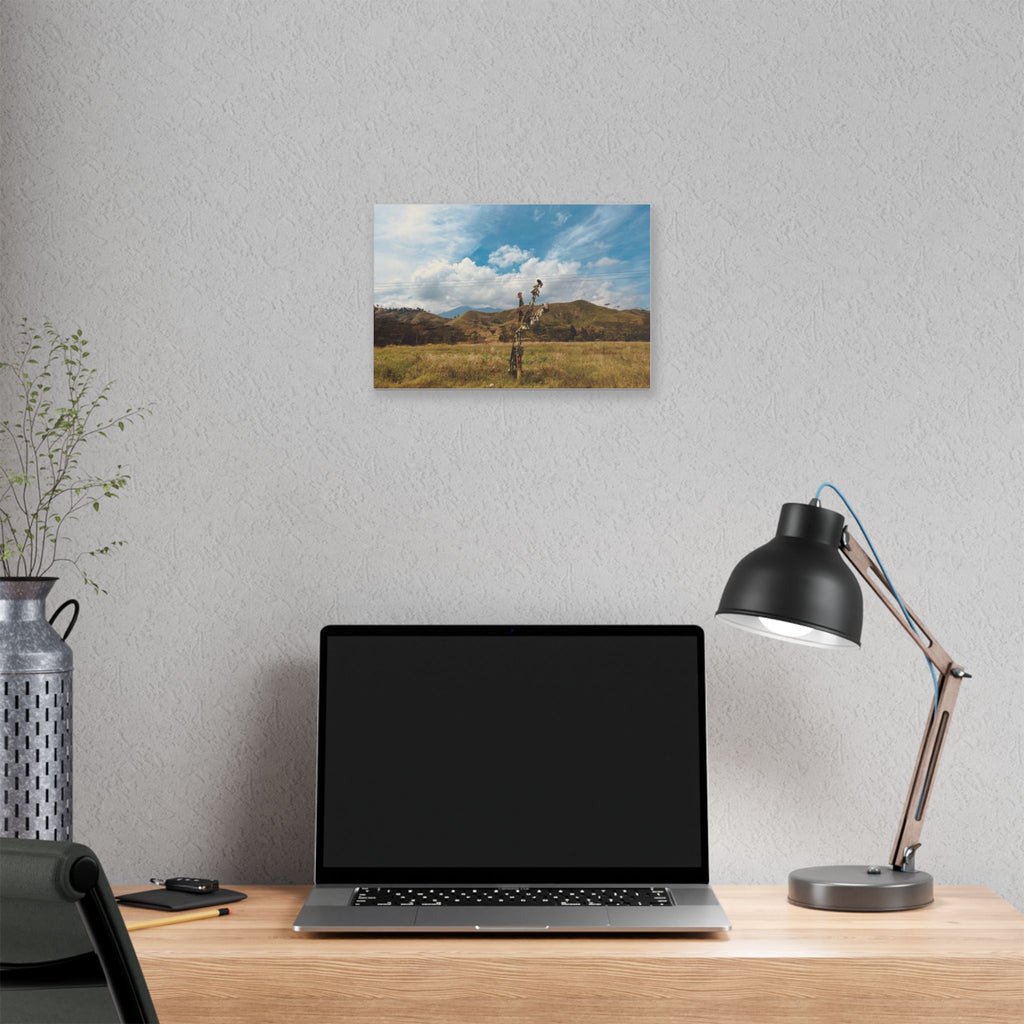 Sunlit Meadow Canvas Wall Art — Serene Mountain Landscape Print