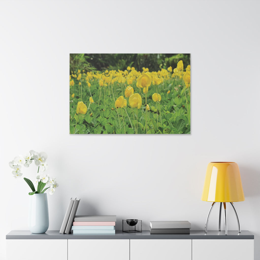 Yellow Flower Field Canvas Print