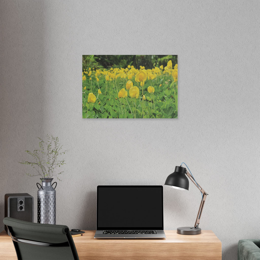 Yellow Flower Field Canvas Print