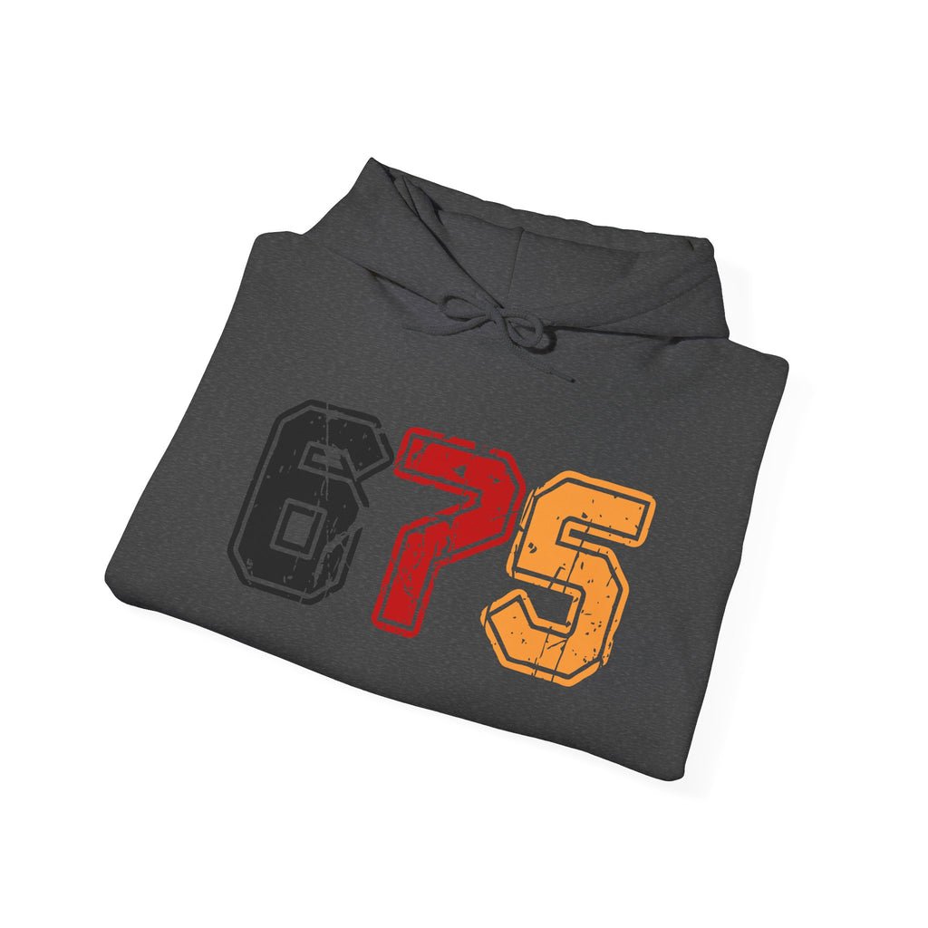 675 Unisex Heavy Blend™ Hooded Sweatshirt