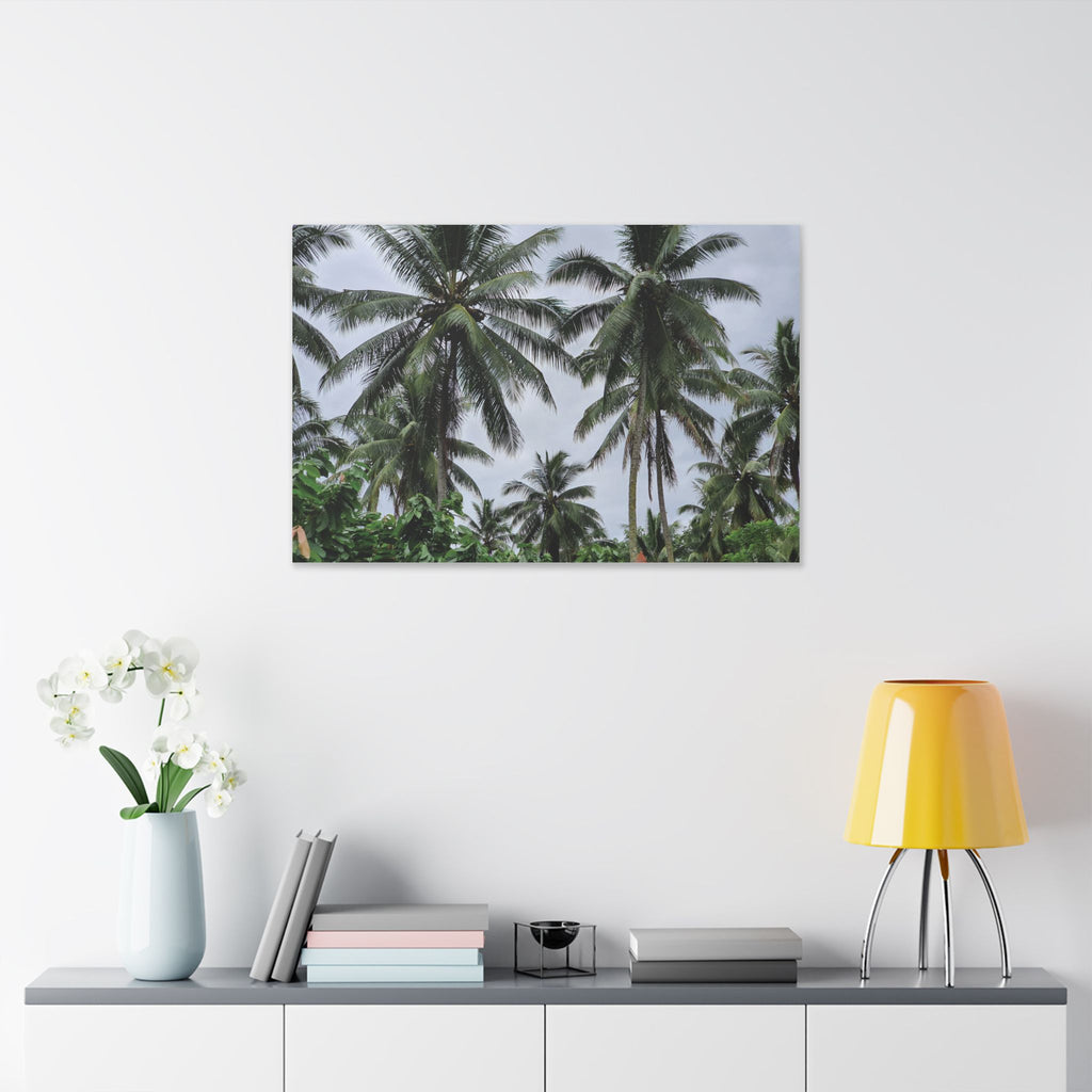 Coconut Palm Tree Rabaul Stretched Canvas – Coastal Wall Art for Home & Beach Decor