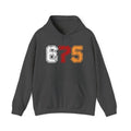 675 Unisex Heavy Blend™ Hooded Sweatshirt