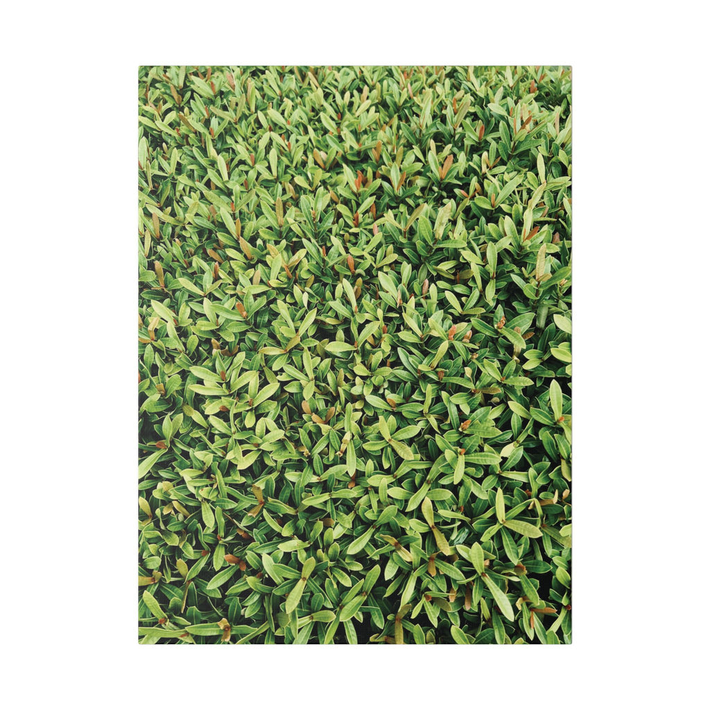 Green Hedge Canvas Wall Art — Botanical Stretched Canvas Print