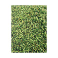 Green Hedge Canvas Wall Art — Botanical Stretched Canvas Print