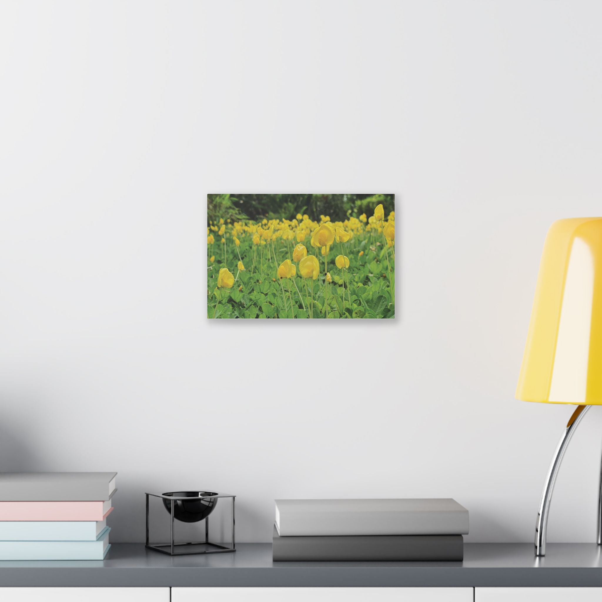 Yellow Flower Field Canvas Print