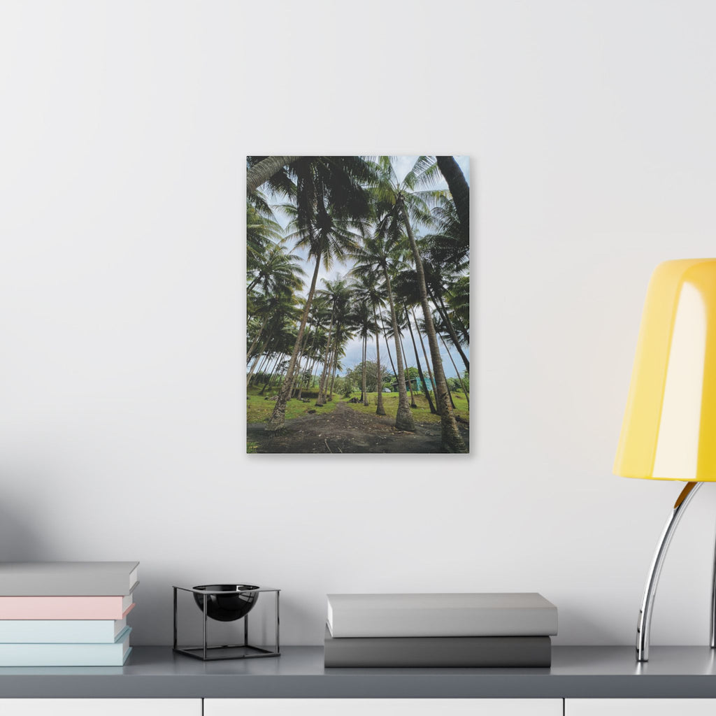 Coconut Palm Grove Nonga Rabaul Canvas Print — Scenic Beach Forest Wall Art