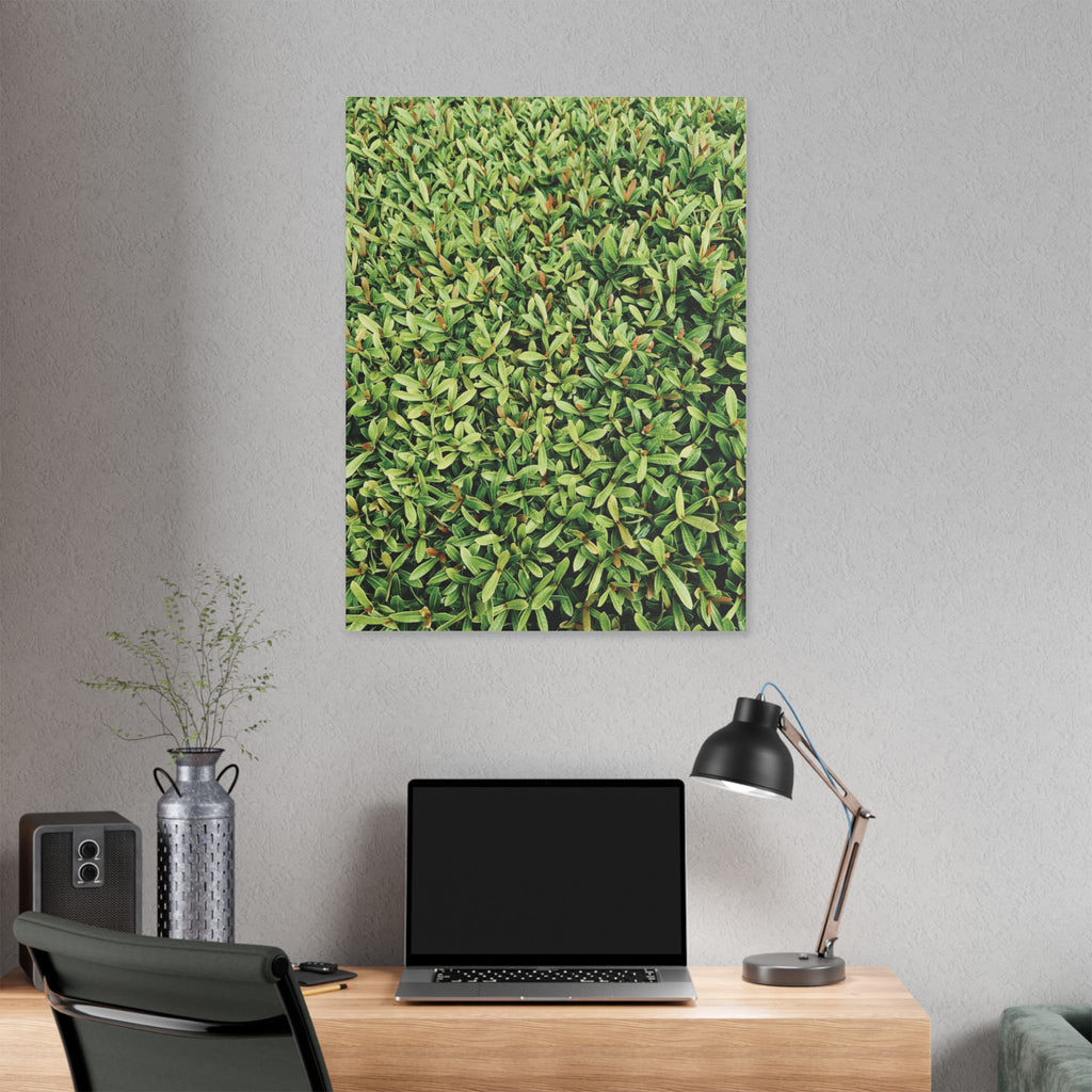 Green Hedge Canvas Wall Art — Botanical Stretched Canvas Print