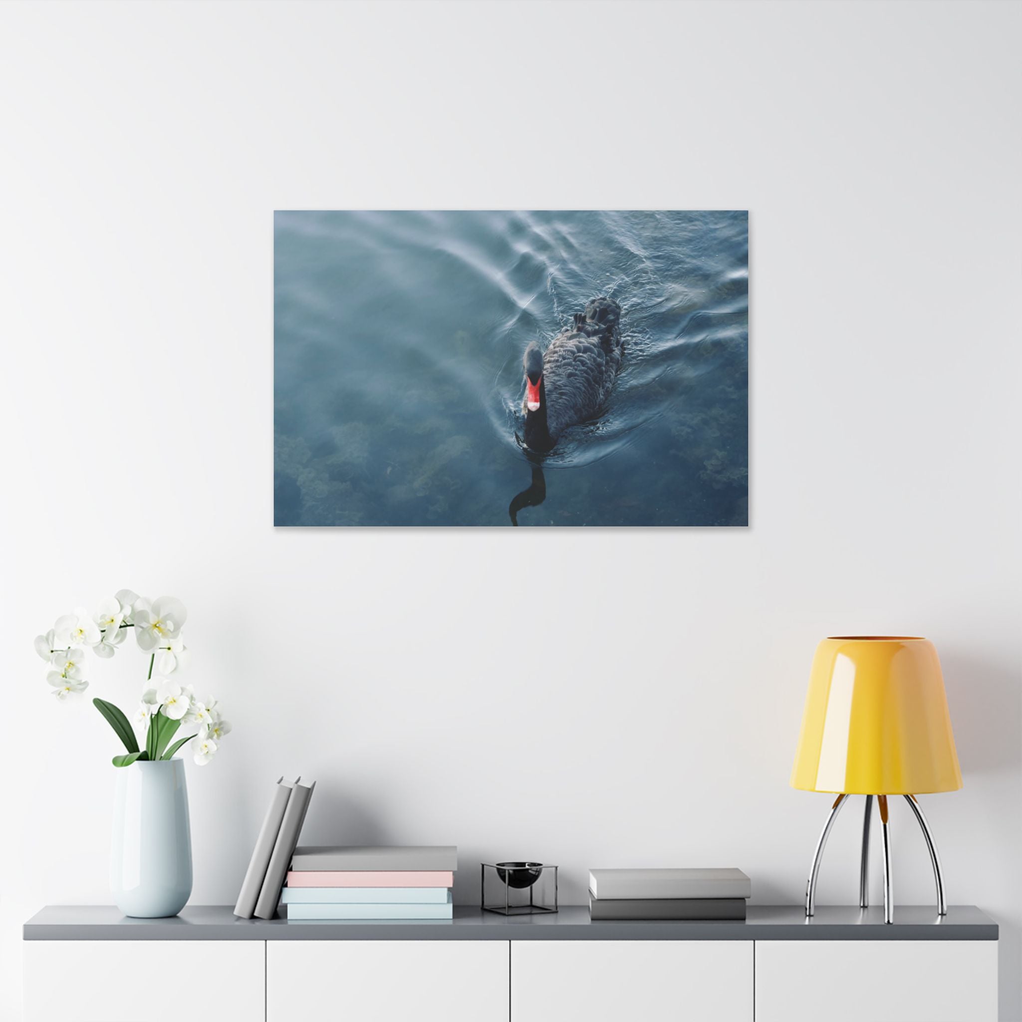 Black Swan Canvas Wall Art – Serene Lake Photography Print