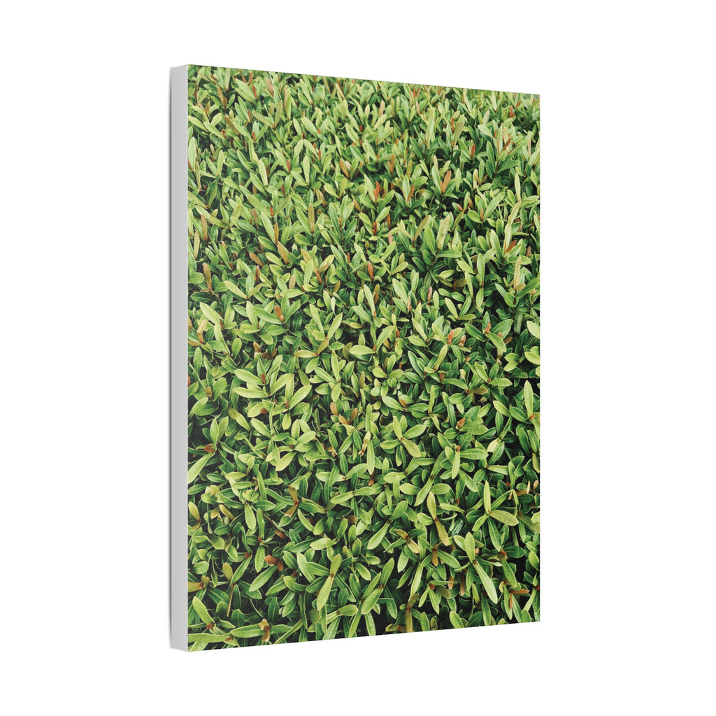 Green Hedge Canvas Wall Art — Botanical Stretched Canvas Print