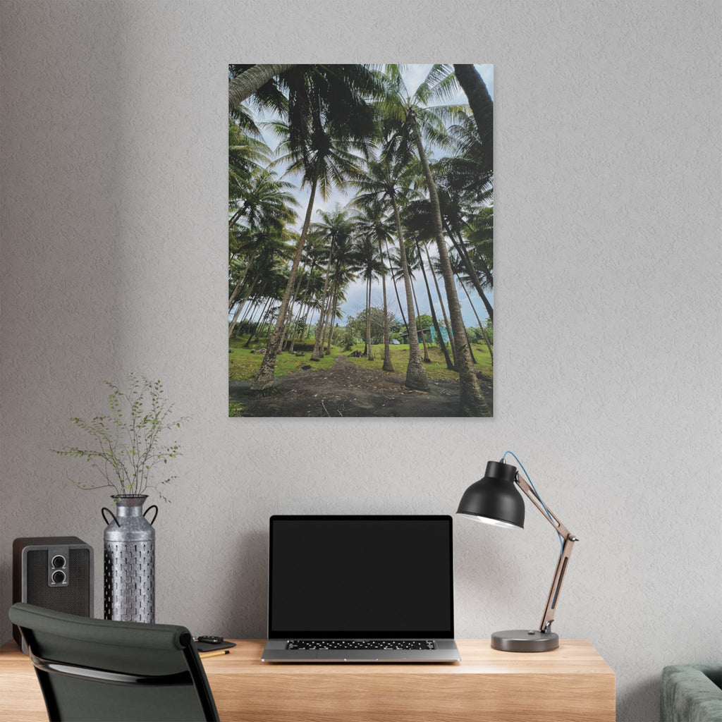 Coconut Palm Grove Nonga Rabaul Canvas Print — Scenic Beach Forest Wall Art