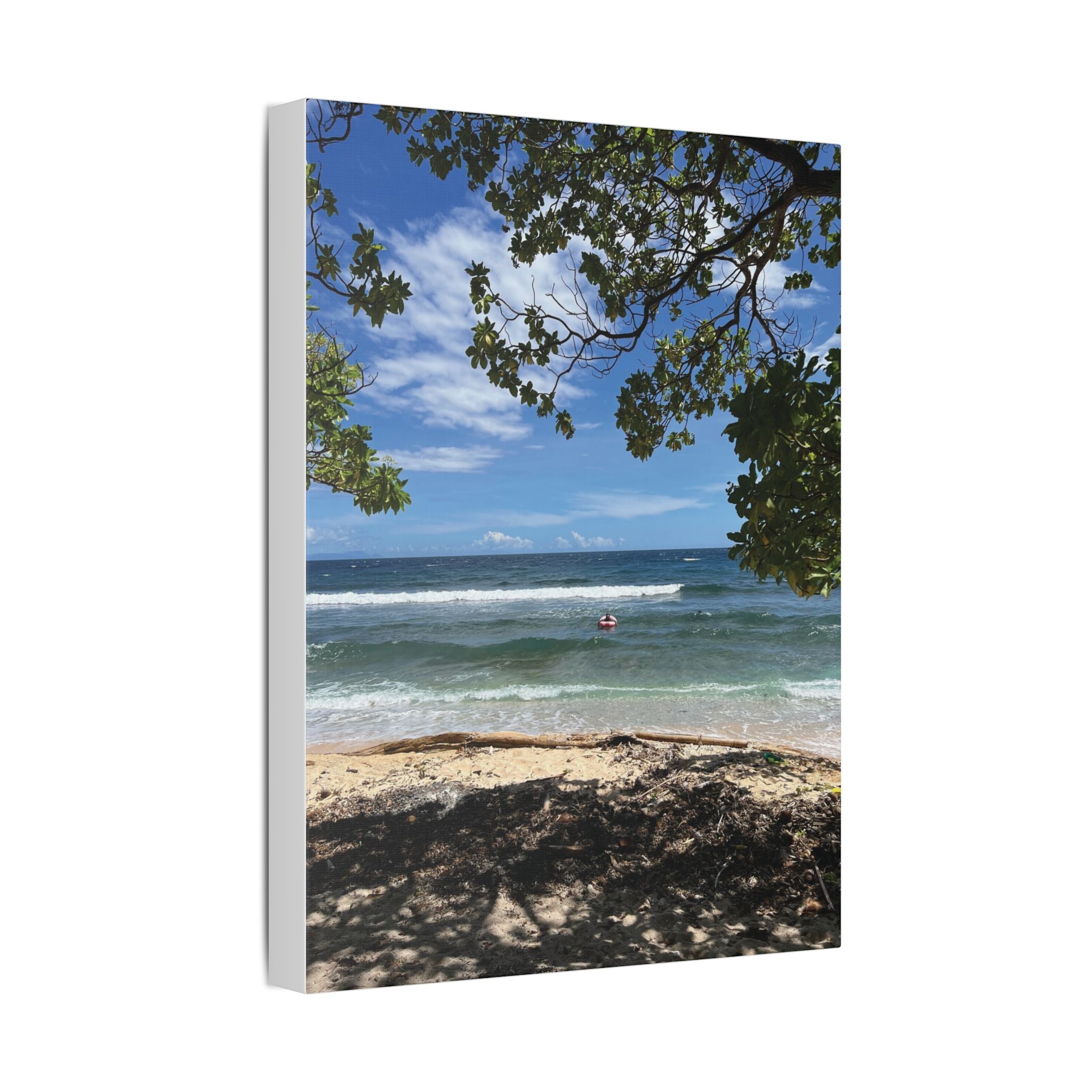 Tropical Beach Raivan Kokopo Canvas Print – Seaside Tree Framed Wall Art