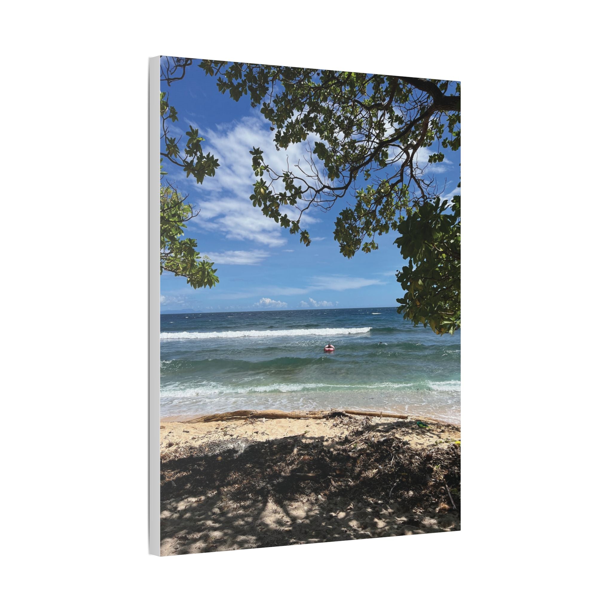 Tropical Beach Raivan Kokopo Canvas Print – Seaside Tree Framed Wall Art