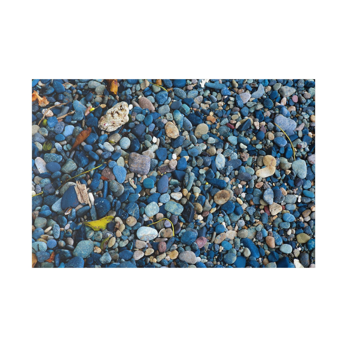 Blue Pebble Beach Rabaul Canvas Print — Coastal Wall Art
