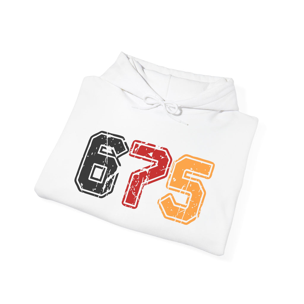 675 Unisex Heavy Blend™ Hooded Sweatshirt