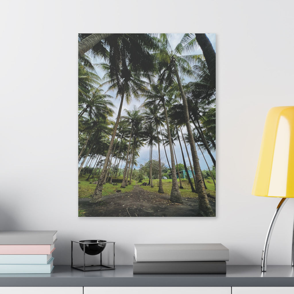 Coconut Palm Grove Nonga Rabaul Canvas Print — Scenic Beach Forest Wall Art