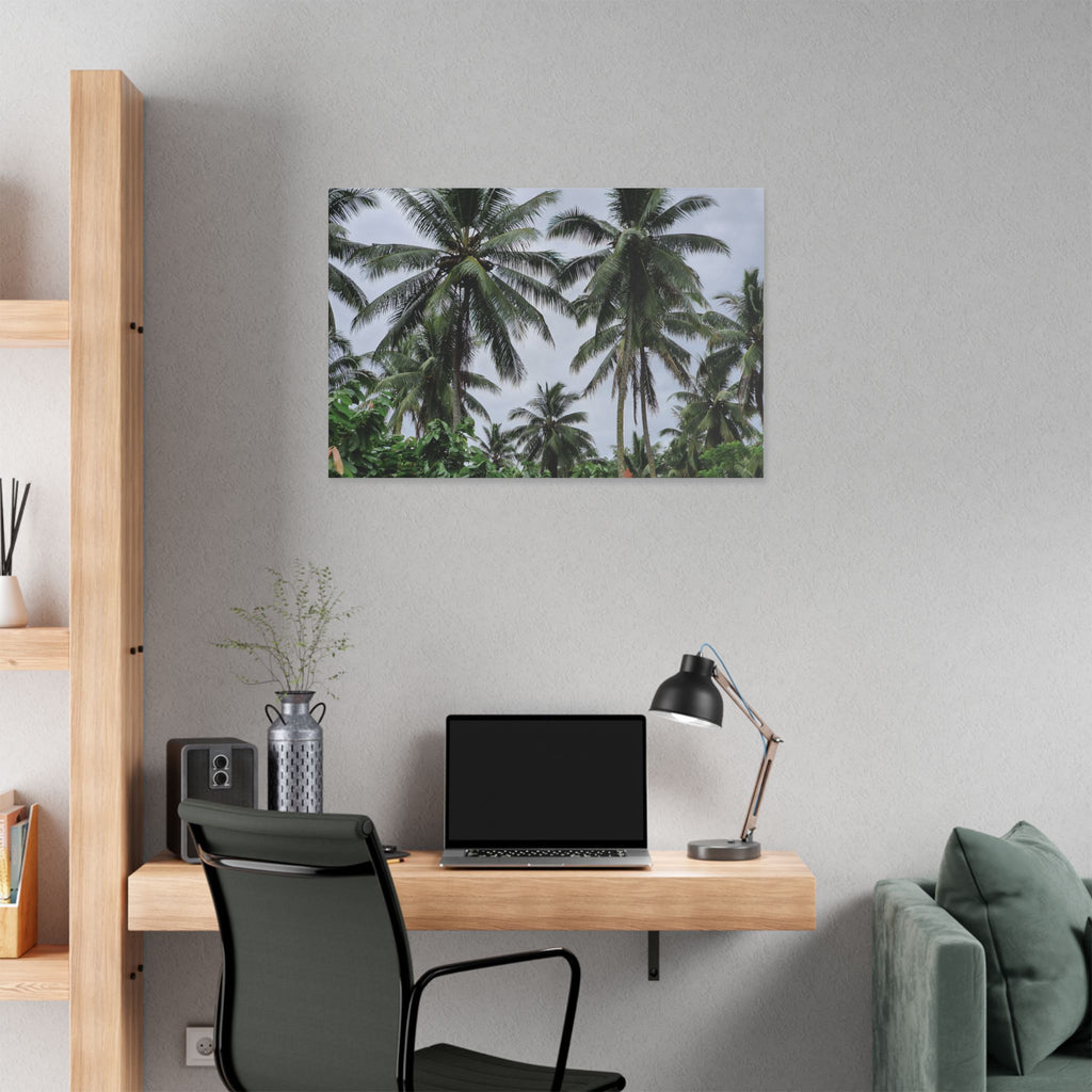 Coconut Palm Tree Rabaul Stretched Canvas – Coastal Wall Art for Home & Beach Decor