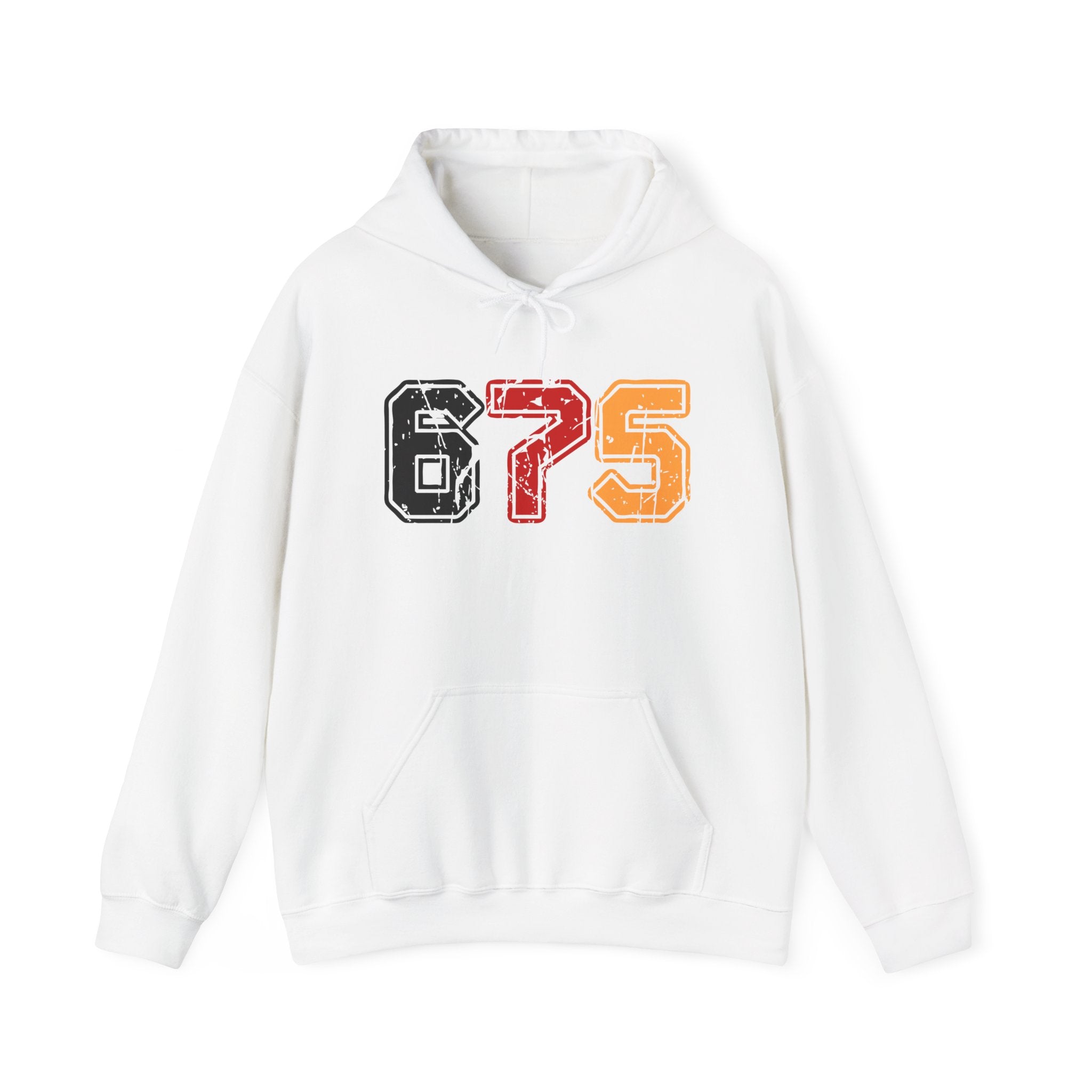 675 Unisex Heavy Blend™ Hooded Sweatshirt